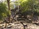 Cambodia: Beng Mealea (12th century Khmer temple), 40km east of the main group of temples at Angkor